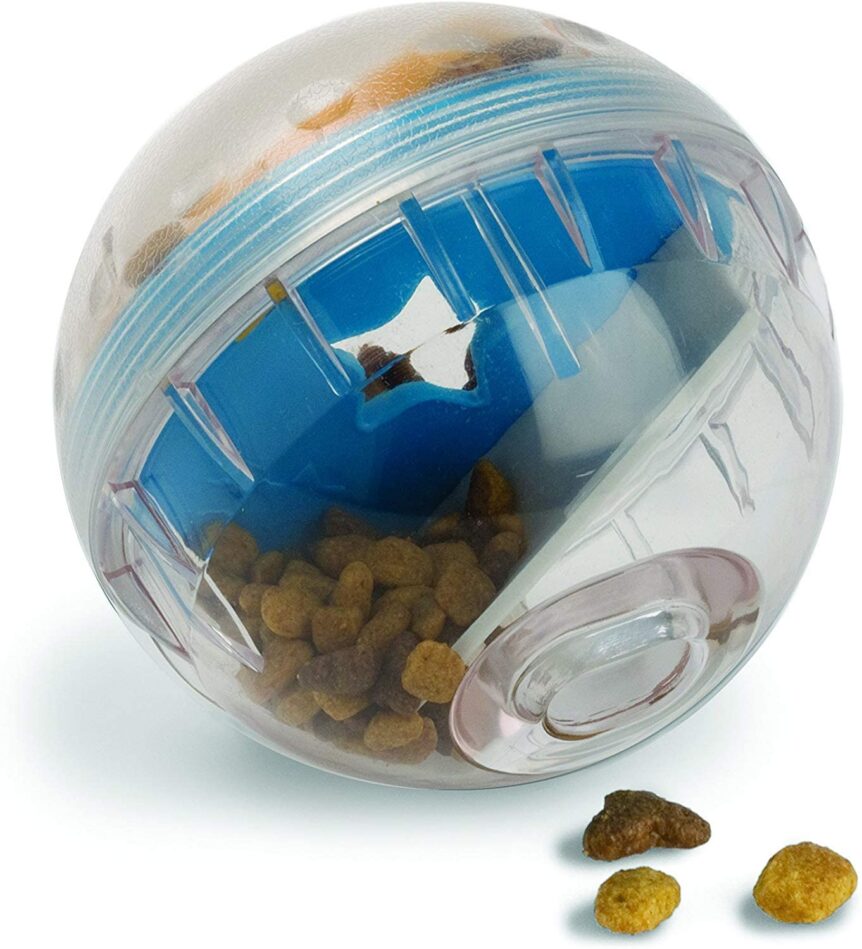 Pet Zone IQ Treat Dispenser Ball Dog Toy, 4-in - Humane Society of Dickson