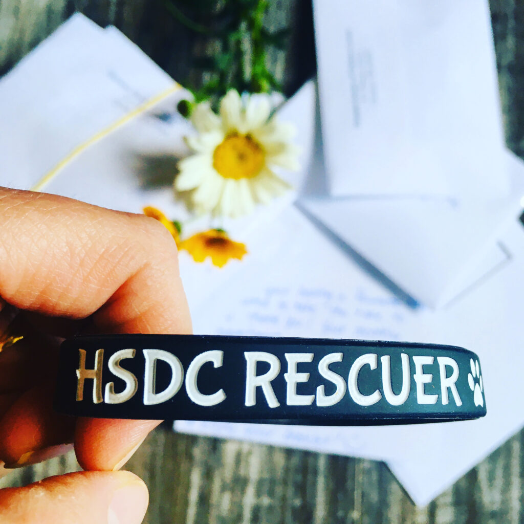 HSDC Bracelet