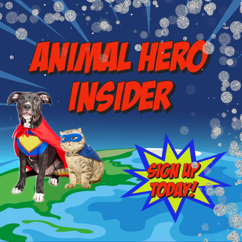 Animal Hero Insider