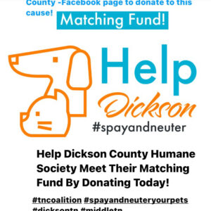 Spay & Neuter