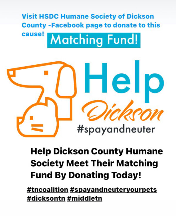 Spay & Neuter