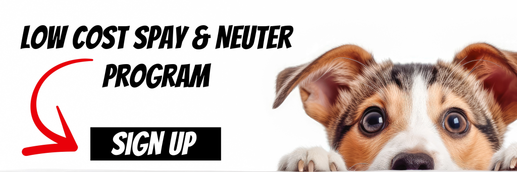 Spay & Neuter