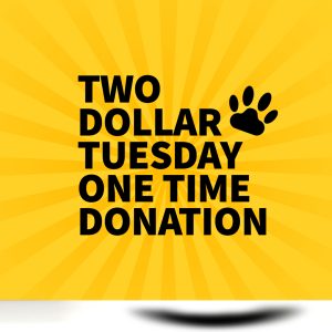 Two Dollar Tuesday