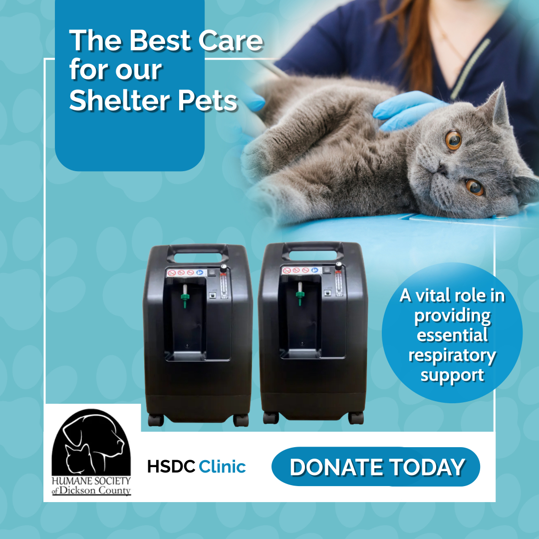 Best humane society near me hot sale
