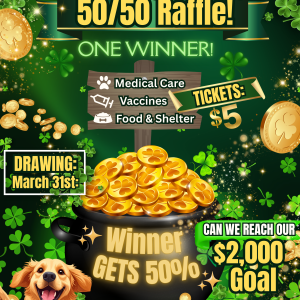 HSDC St. Patrick's Day Raffle